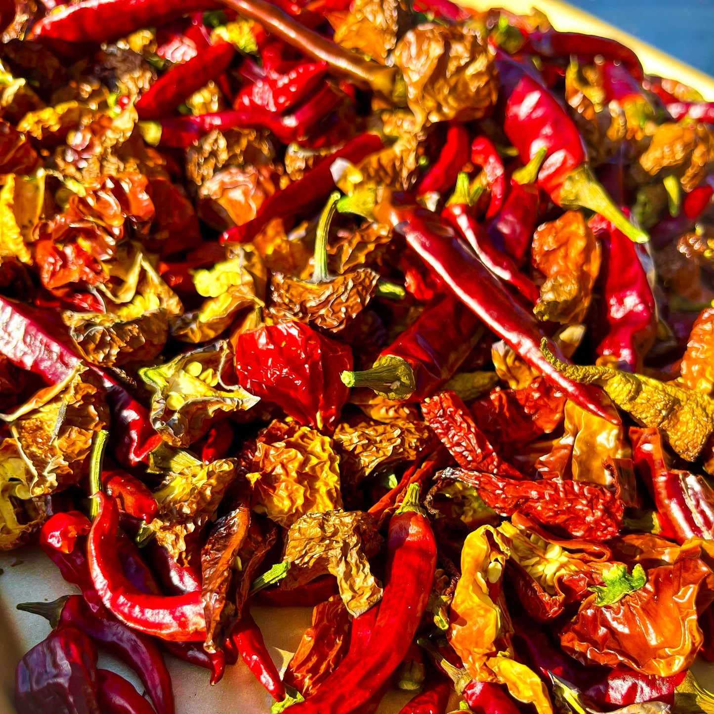 Original - Uncle Tommy's Pepper Blend